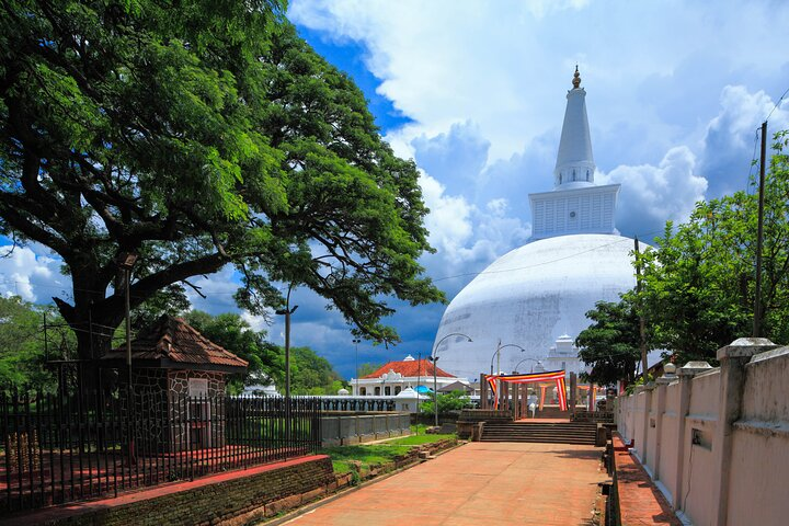 Sacred City of Anuradhapura from Sigiriya - Photo 1 of 10